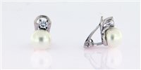 Orecchini Forever Gioielli Donna Orecchini Perla in Argento Perla FGOR00300 - FGOR00300